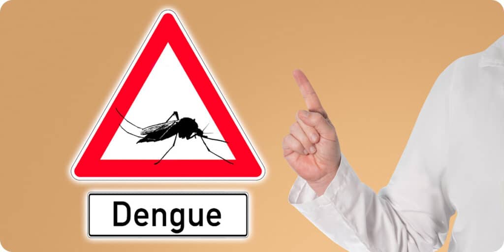 Maladie contagieuse du moustique tigre : la dengue