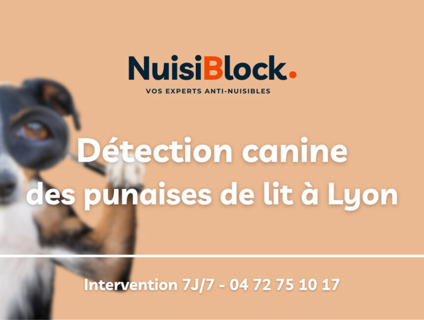 Détection canine des punaises de lit à Lyon