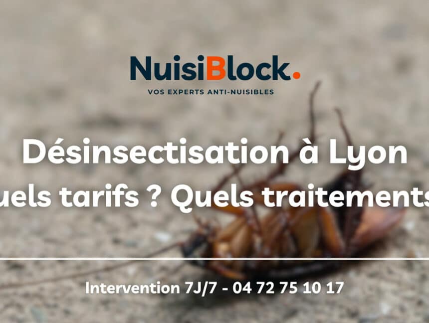 Désinsectisation à Lyon : Quels insectes ? Quels traitements ? Quels prix ?