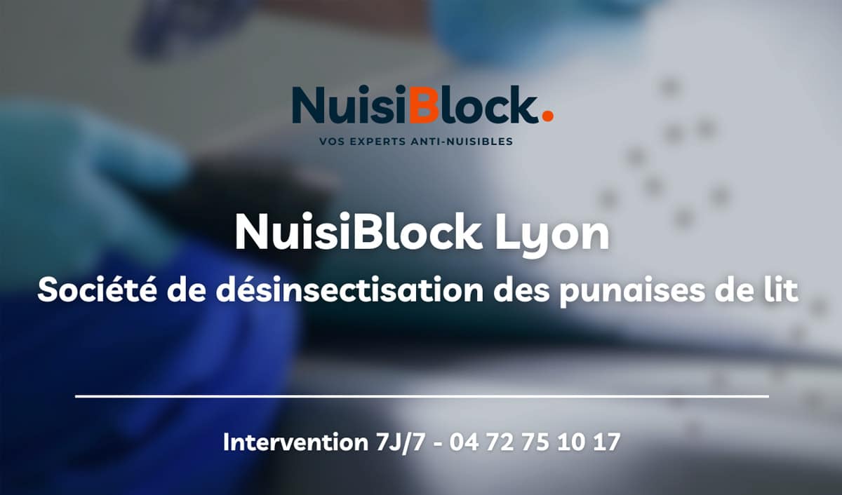 Société de désinsectisation des punaises de lit à Lyon