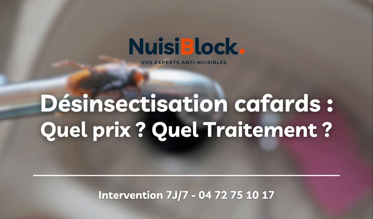 Désinsectisation des cafards à Lyon : Quels prix ? Quels traitements ? Quelles garanties ?