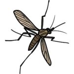 Entreprise desinsectisation moustiques Lyon pour un traitement efficace