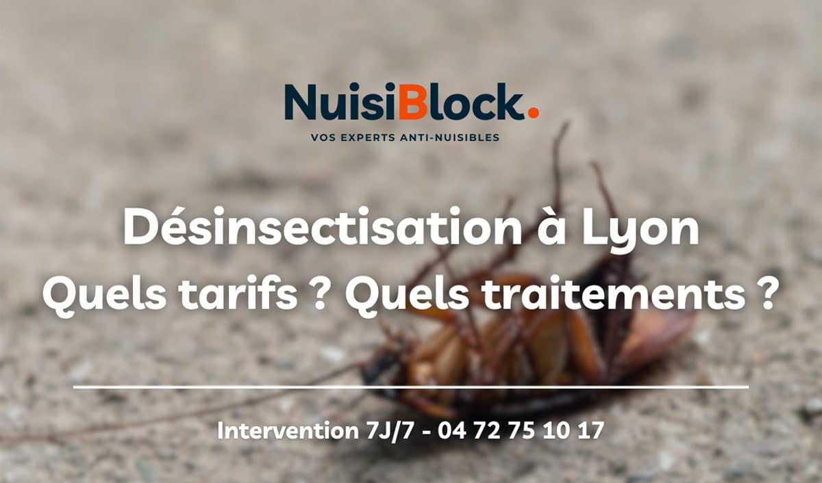 Désinsectisation à Lyon : Quels insectes ? Quels traitements ? Quels prix ?