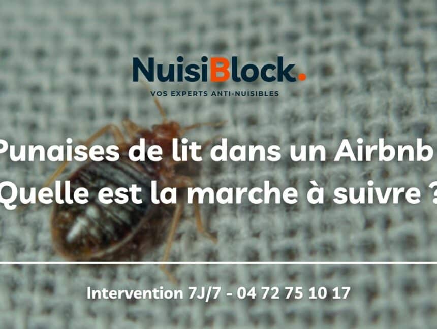 Punaises de lit dans un Airbnb : Que faire ?