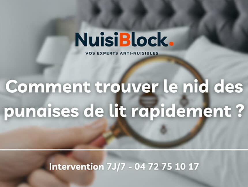 Comment trouver le nid des punaises de lit rapidement ?