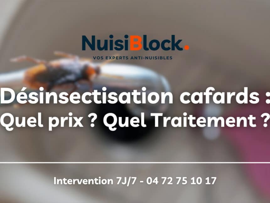 Désinsectisation des cafards à Lyon : Quels prix ? Quels traitements ? Quelles garanties ?