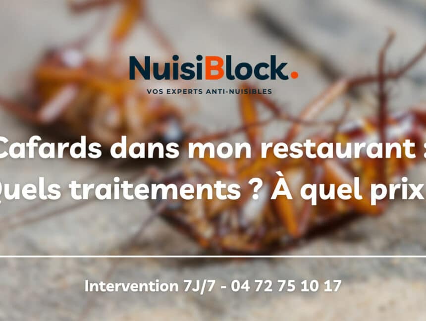 Que faire si je constate des cafards dans mon restaurant ?