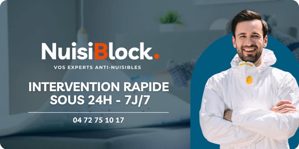 Intervention NuisiBlock Lyon pour un appartement avant la vente