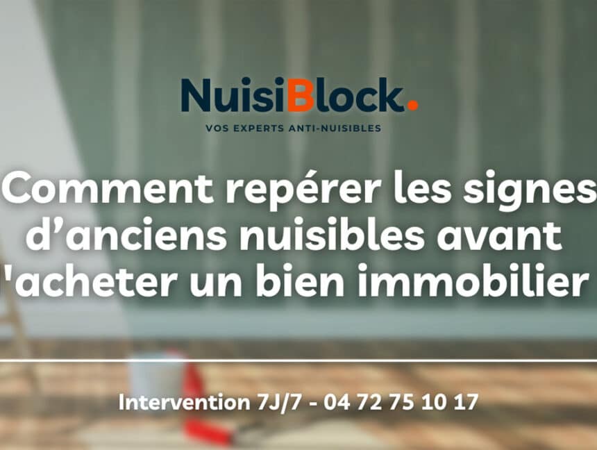Avant d’acheter un bien immobilier : Comment repérer les signes d’anciens nuisibles ?