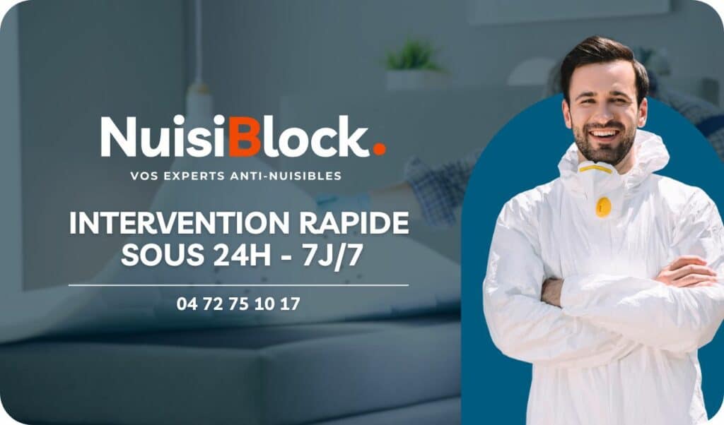 NuisiBlock Lyon pour traiter les punaises de lit
